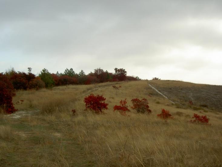 Біленьке з panoramio.com - Біленьке