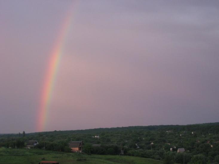 Питомник з panoramio.com - Питомник