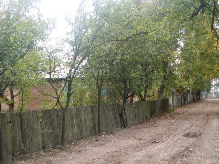 Шура-Мітлинецька з panoramio.com - Шура-Мітлинецька