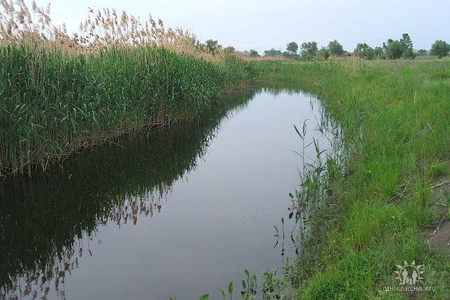 Черкаські Тишки з panoramio.com - Cherkaski Tyshky