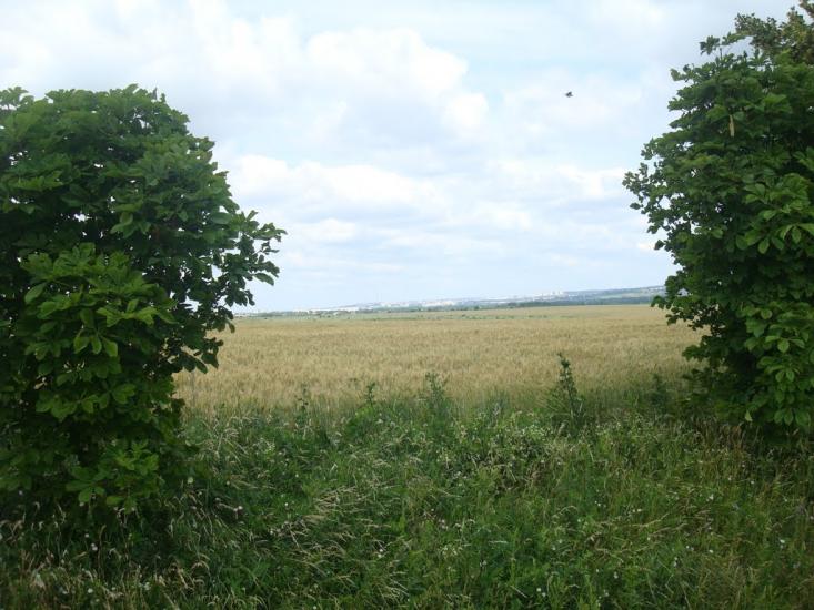 Копистин з panoramio.com - Копистин