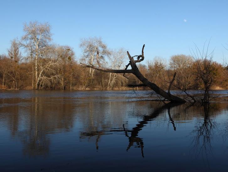 Черемушне з panoramio.com - Черемушное