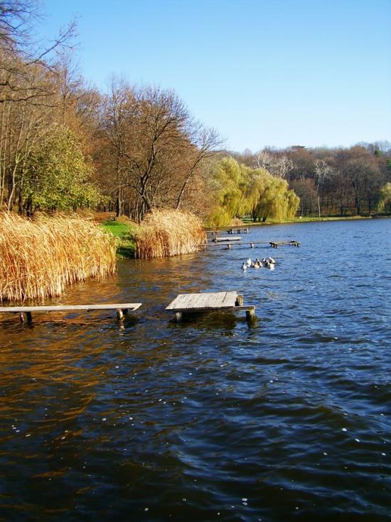 Ставище з panoramio.com - Ставище