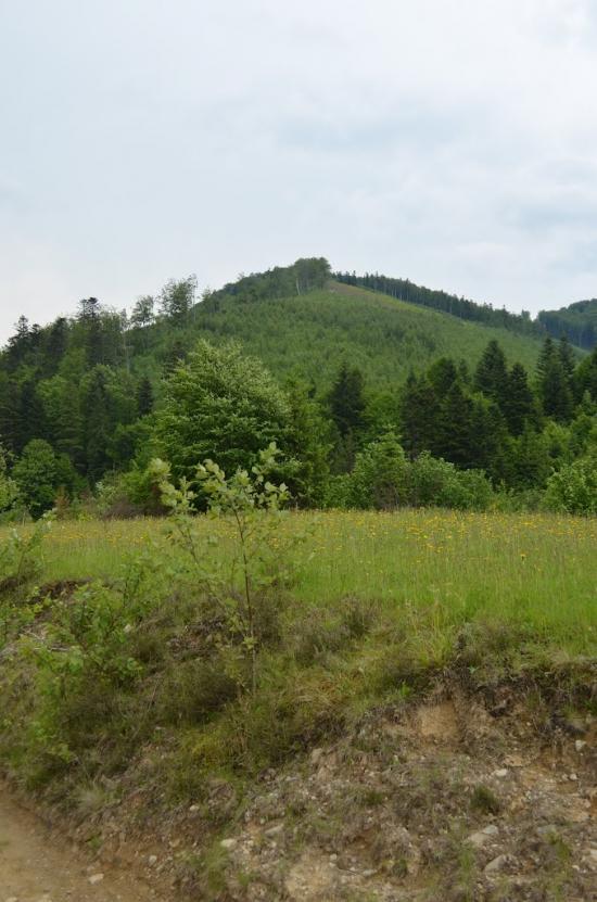 Крушельниця з panoramio.com - Krushelnytsya