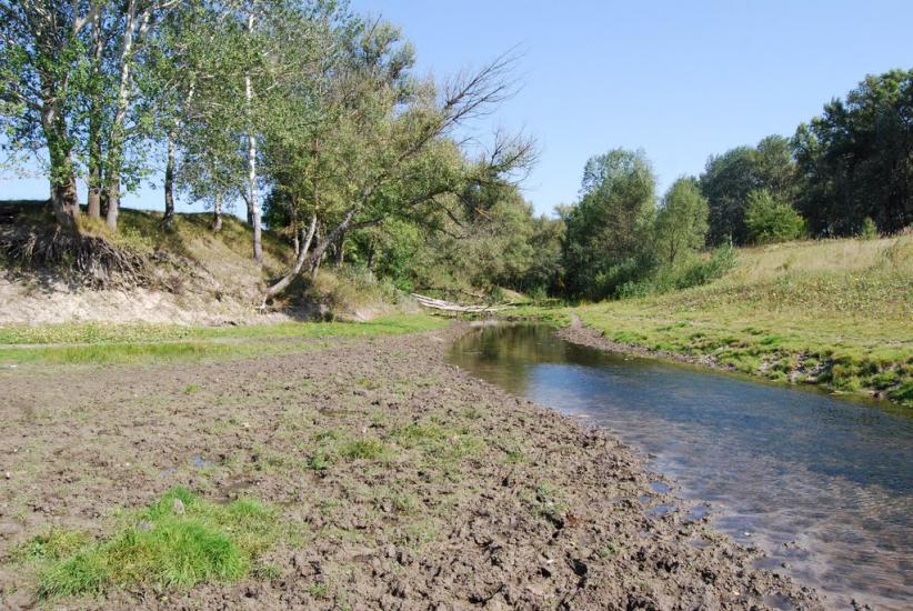Говтва з panoramio.com - Govtva