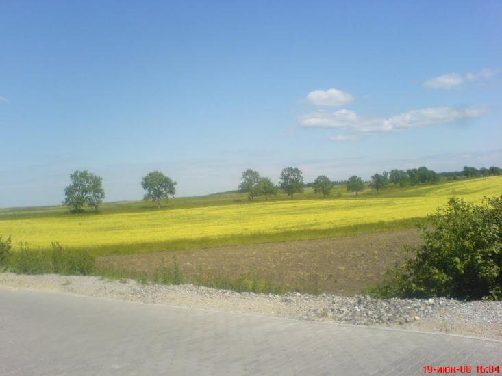 Давидів з panoramio.com - Давидів