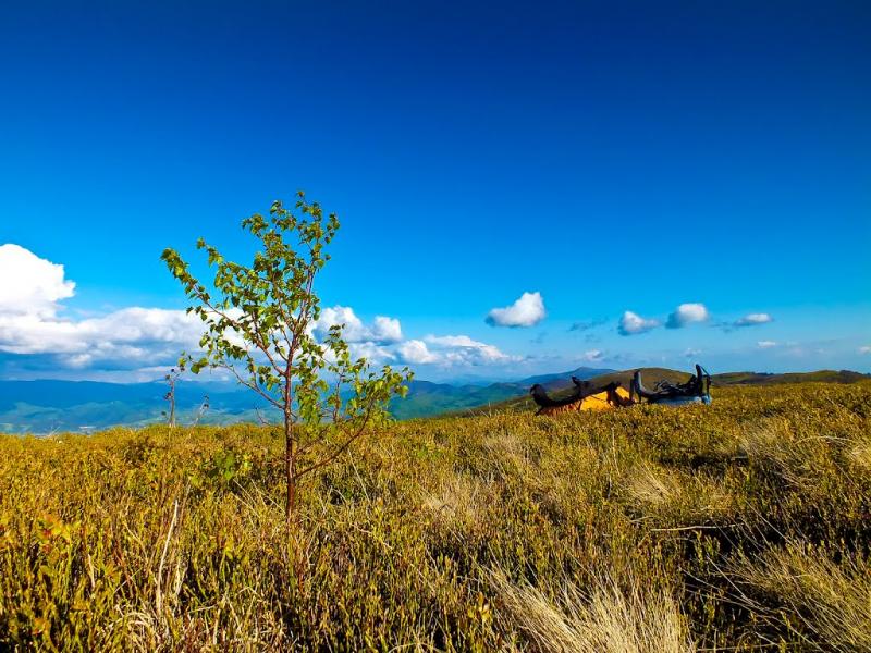 Потік з panoramio.com - Поток