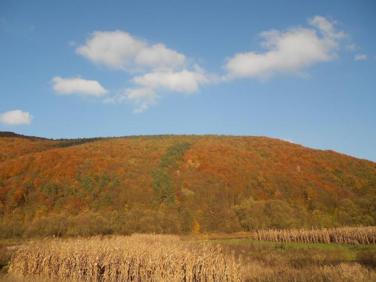 Сімер з panoramio.com - Сімер