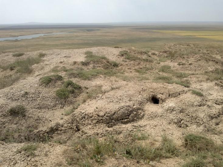 Вулканівка з panoramio.com - Вулканівка