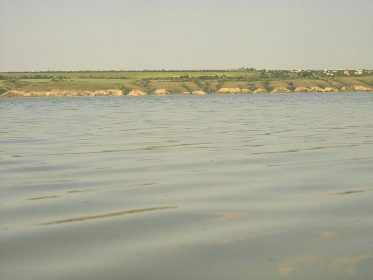 Берегове з panoramio.com - Береговое