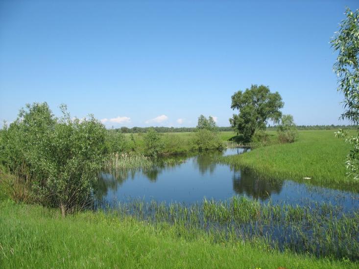 Зазим'я з panoramio.com - Зазимье