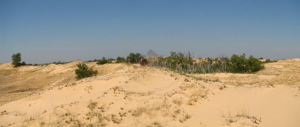 Пролетарка з panoramio.com - Пролетарка