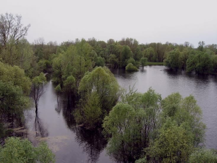 Остер з panoramio.com - Остер