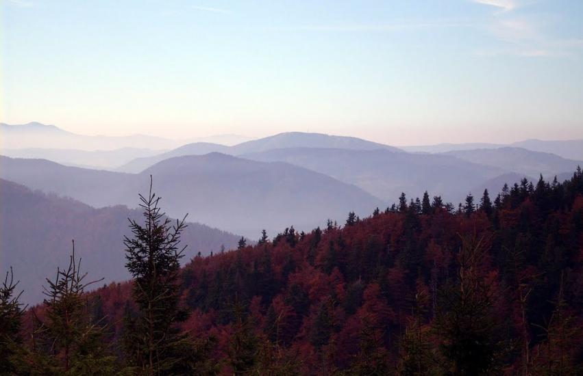Кам'янка з panoramio.com - Каменка