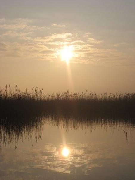Мар'янівка з panoramio.com - Мар'янівка