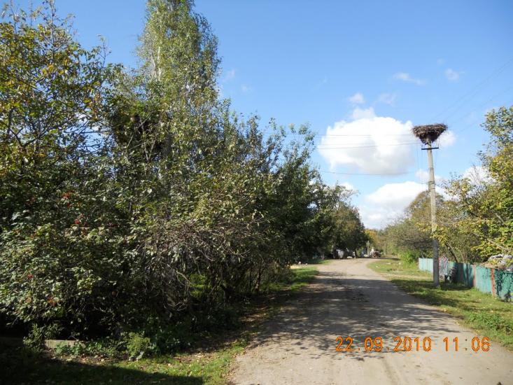 Головлі з panoramio.com - Головли