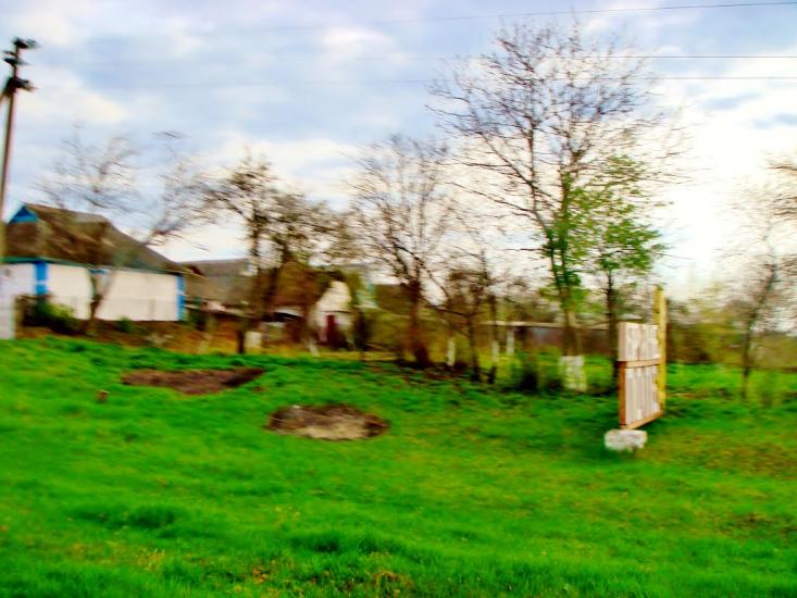 Бране Поле з panoramio.com - Браное Поле