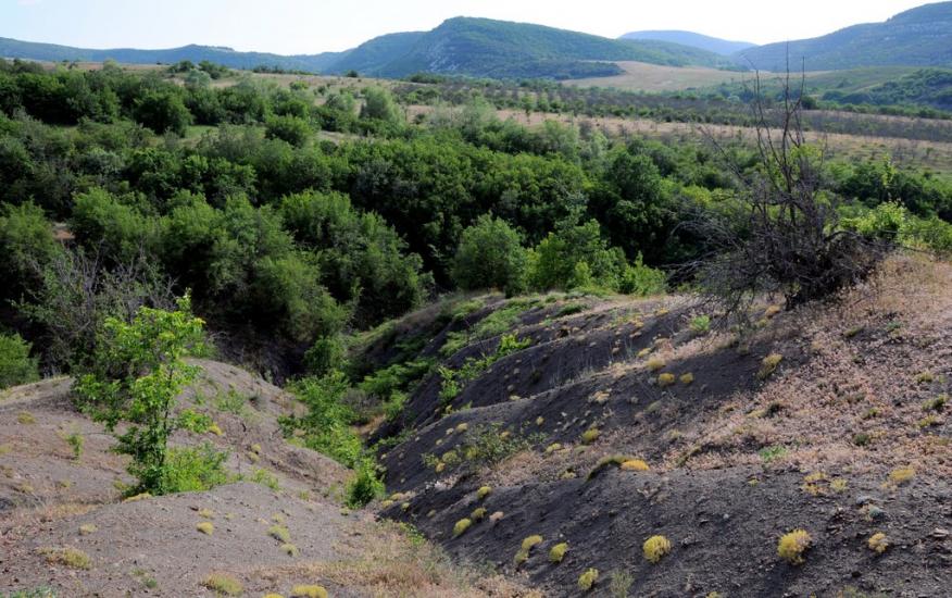 Прохладне з panoramio.com - Прохладное