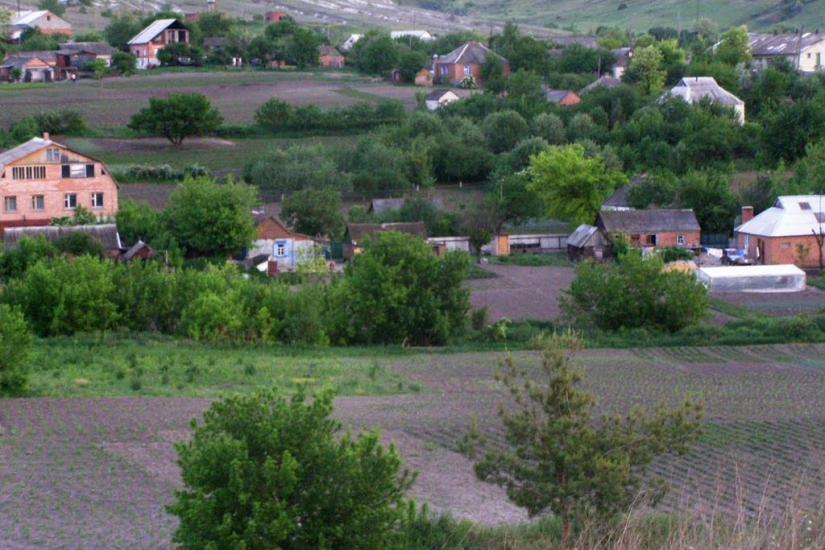 Крива Лука з panoramio.com - Крива Лука