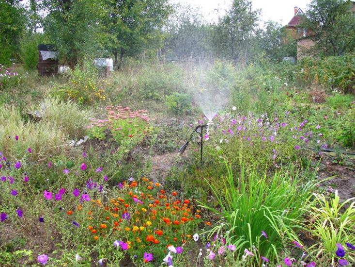 Циркуни з panoramio.com - Циркуни