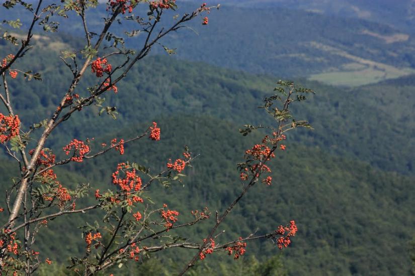 Коростів з panoramio.com - Коростов