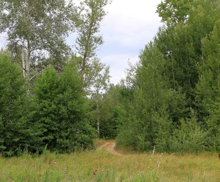 Кам'янка з panoramio.com - Каменка