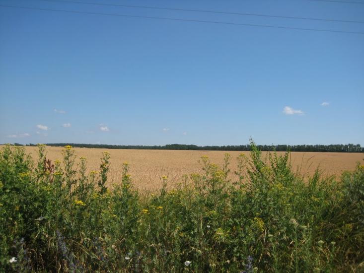 Сурсько-Клевцеве з panoramio.com - Сурсько-Клевцеве