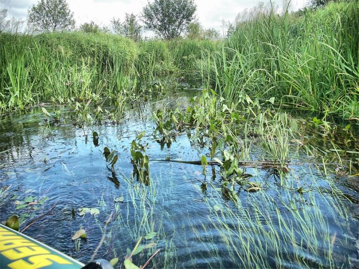 Ушиця з panoramio.com - Ушица