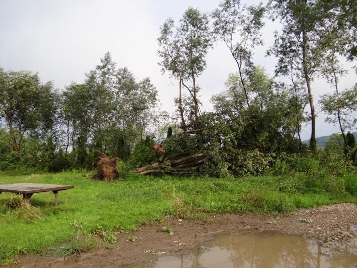 Біла Церква з panoramio.com - Біла Церква
