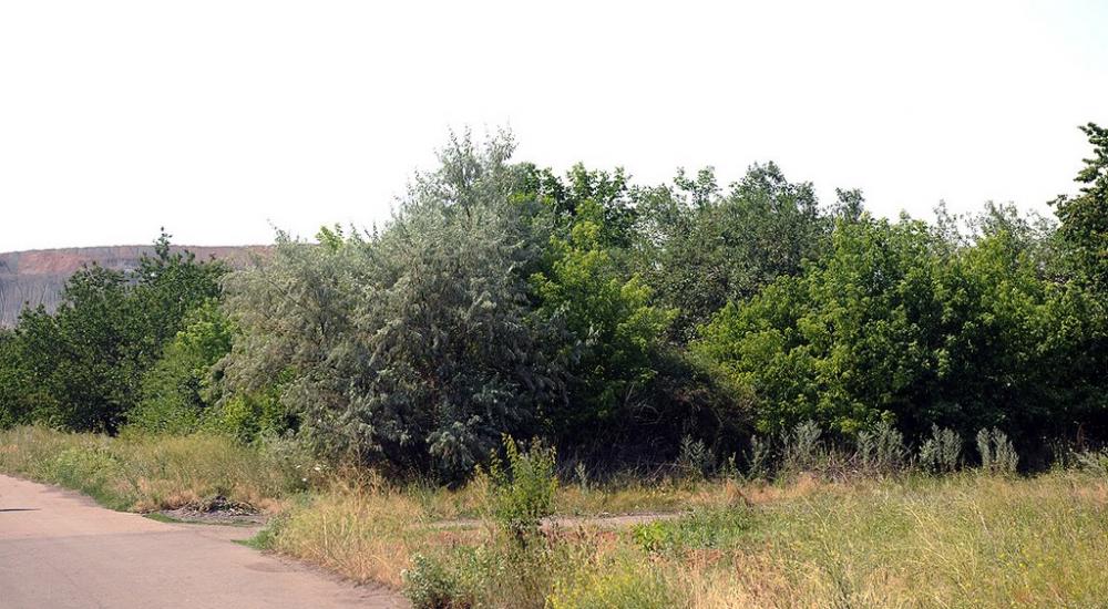Дзержинськ з panoramio.com - Dzerzhynsk