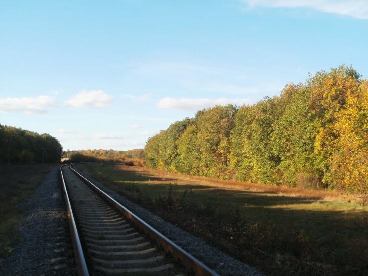 Карбівське з panoramio.com - Karbivske