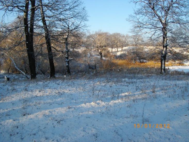 Петровське з panoramio.com - Петровское