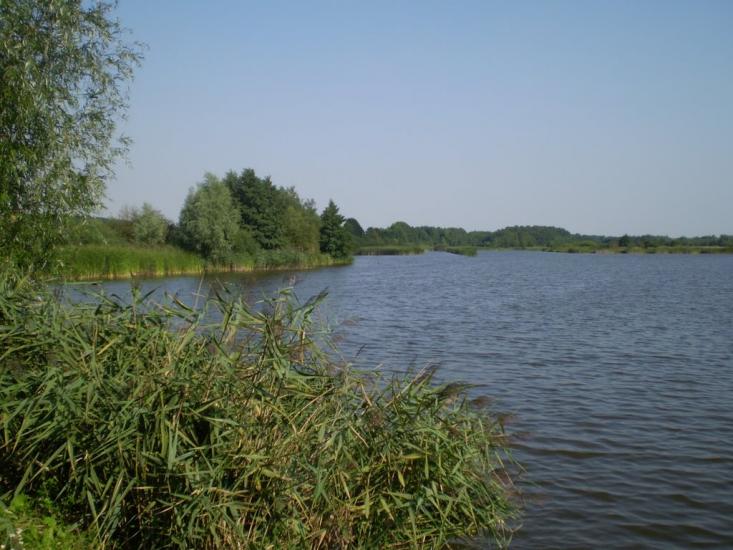 Селище з panoramio.com - Селище