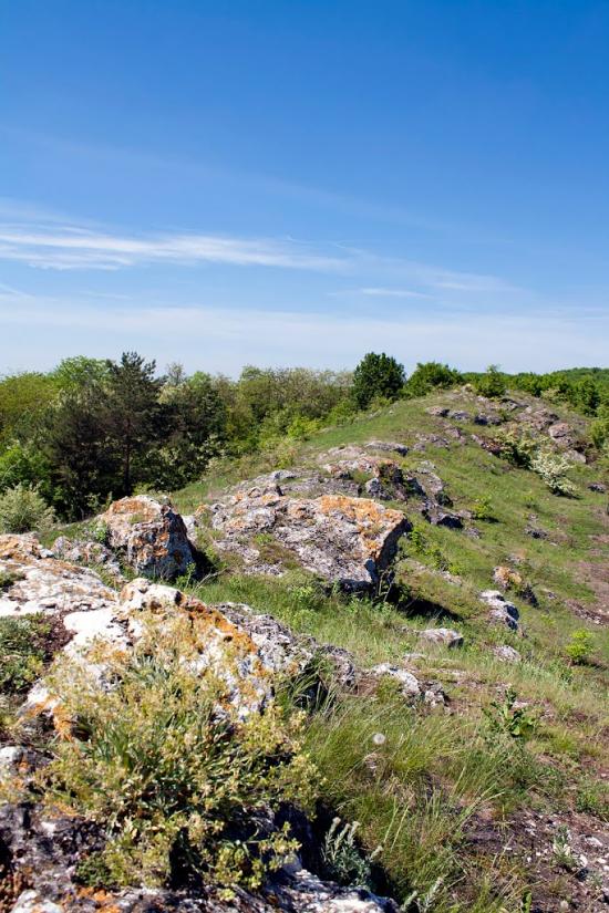 Нігин з panoramio.com - Nigyn
