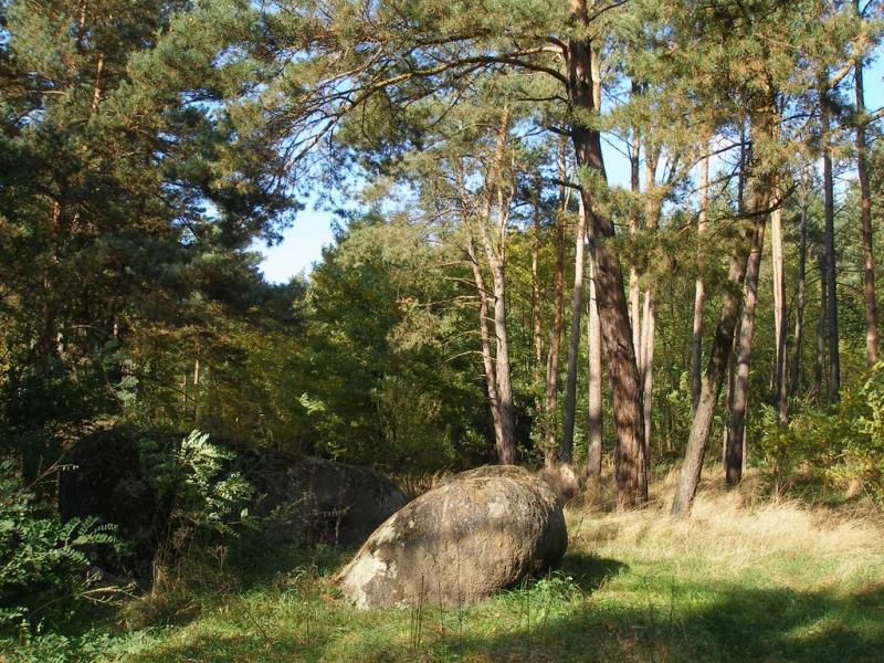 Маньківка з panoramio.com - Маньківка