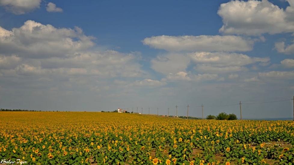 Болгарка з panoramio.com - Болгарка