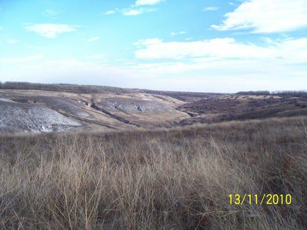Крива Лука з panoramio.com - Крива Лука