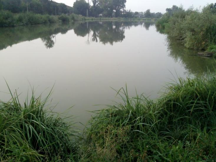 Мисайлівка з panoramio.com - Мисайлівка