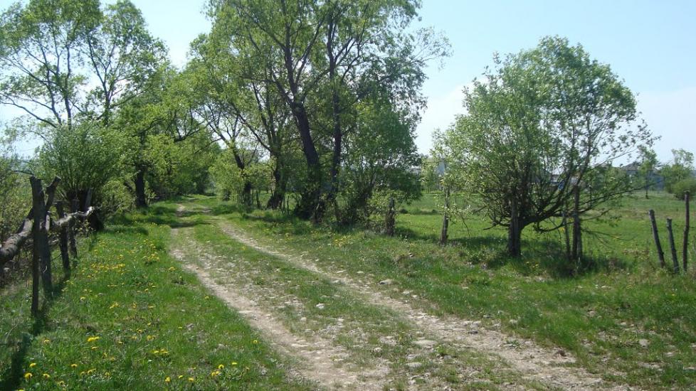 Ценява з panoramio.com - Ценява