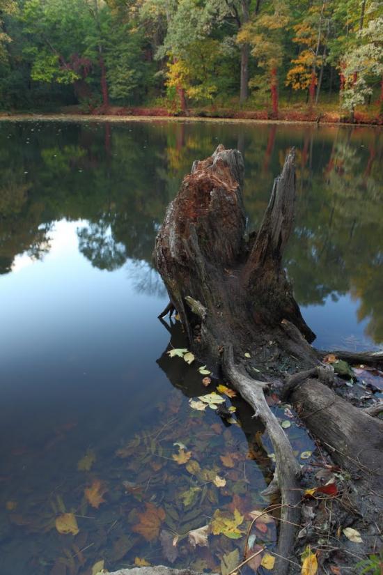 Краснокутськ з panoramio.com - Краснокутск