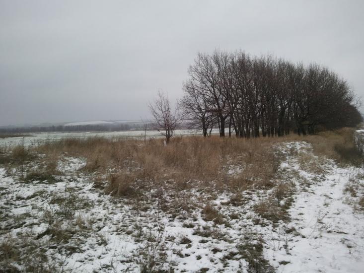 Миколаївка з panoramio.com - Миколаївка