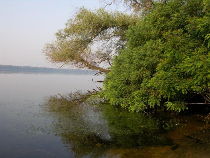 Шабельники з panoramio.com - Шабельники