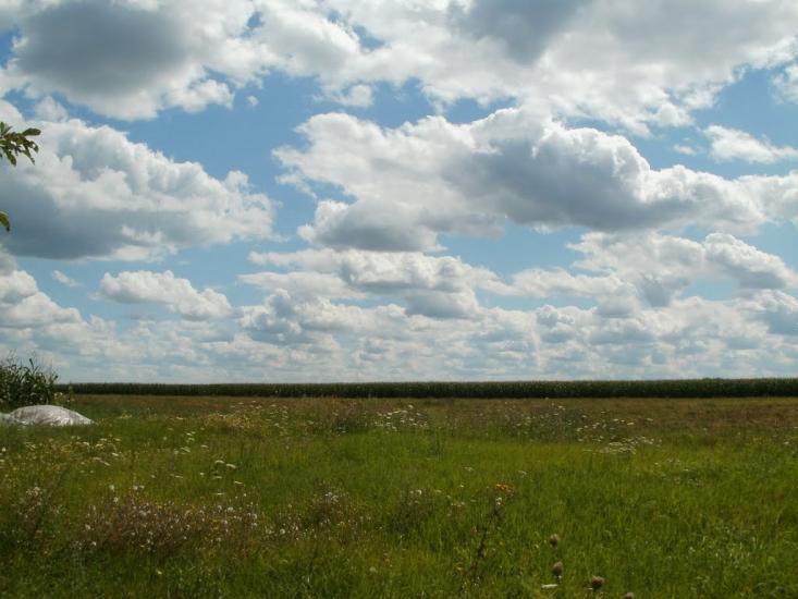 Ходосиха з panoramio.com - Ходосиха