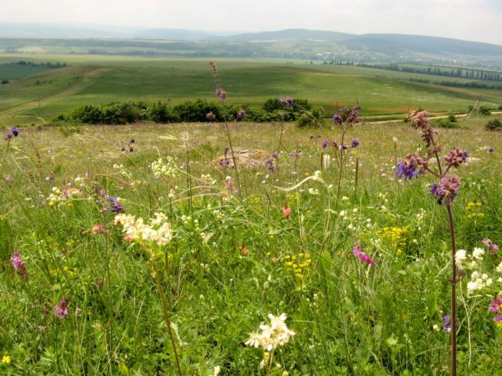 Лазарівка з panoramio.com - Lazarivka