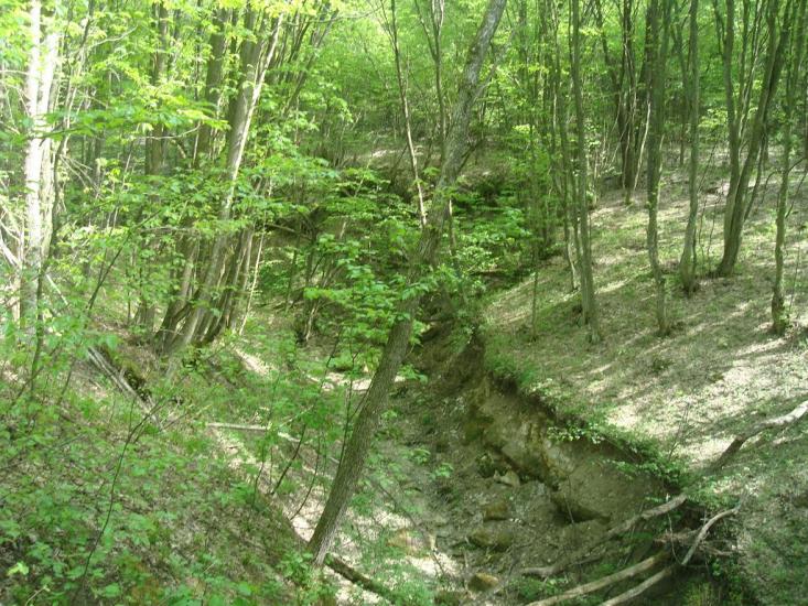 Любомирівка з panoramio.com - Любомировка