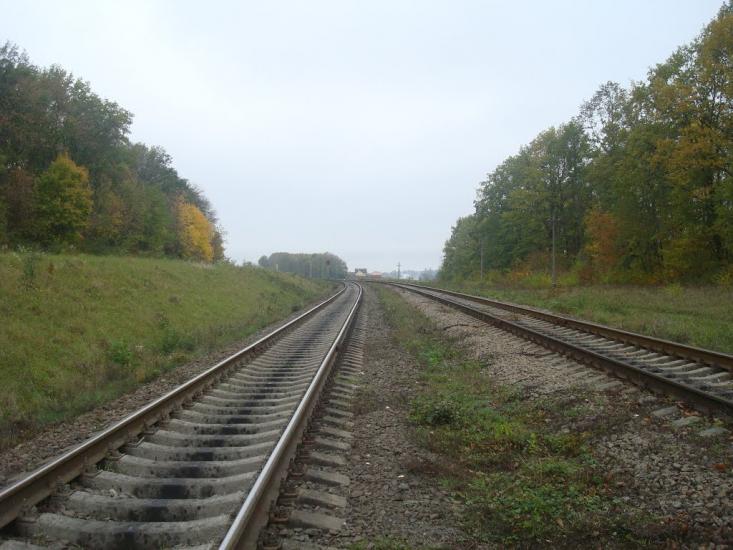 Малиничі з panoramio.com - Малиничи