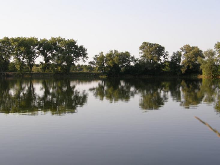 Пересічна з panoramio.com - Пересічна