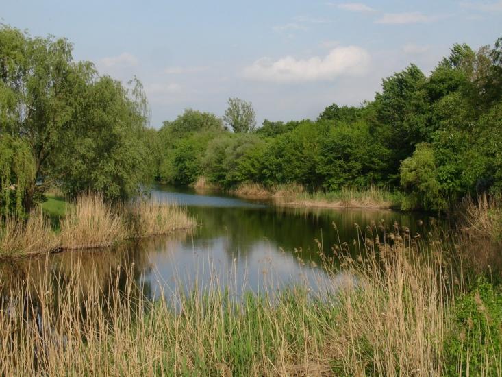 Решетилівка з panoramio.com - Решетиловка