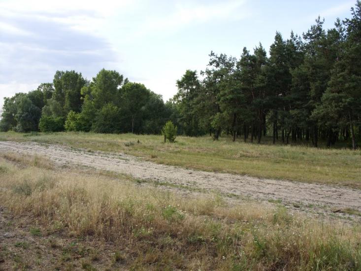 Хорішки з panoramio.com - Хорішки
