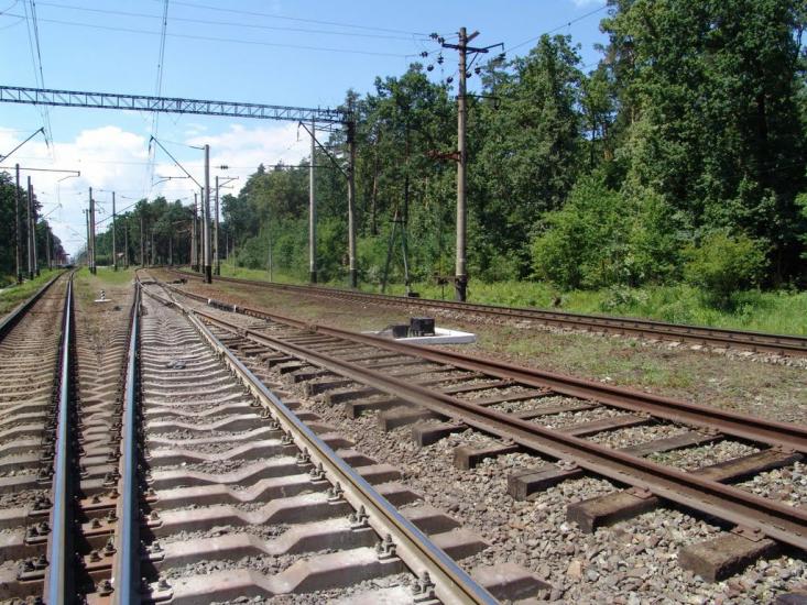 Княжичі з panoramio.com - Княжичі